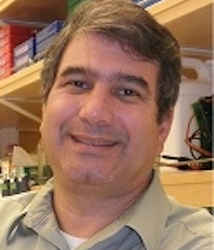 ​Mark Lawson, Ph.D.